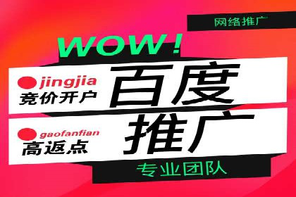 百度竞价广告的投放策略与成功案例分析